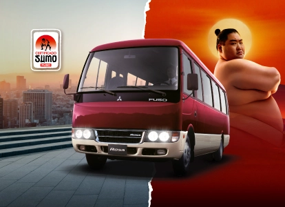 Fuso Rosa