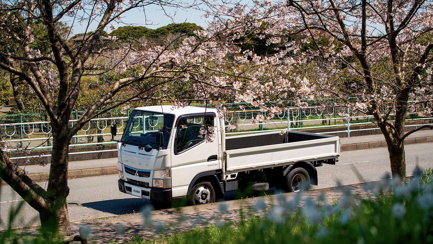 Camioneta Canter 513 Blanco, transitando por calles rodeados de árboles floridos